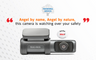 Review of Road Angel Halo Ultra by "The Review Smiths"