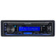 Road Angel RA-S180DBT Mechless Digital Media Player with Bluetooth and DAB